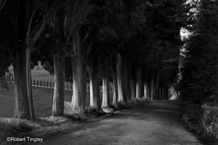 Tuscan Country Road BW